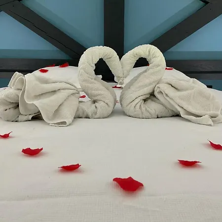 Daire Mealsaveurs & *